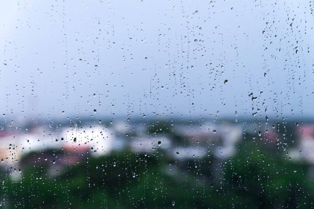 Weathertightness to Protect Your Home, Health and Wallet