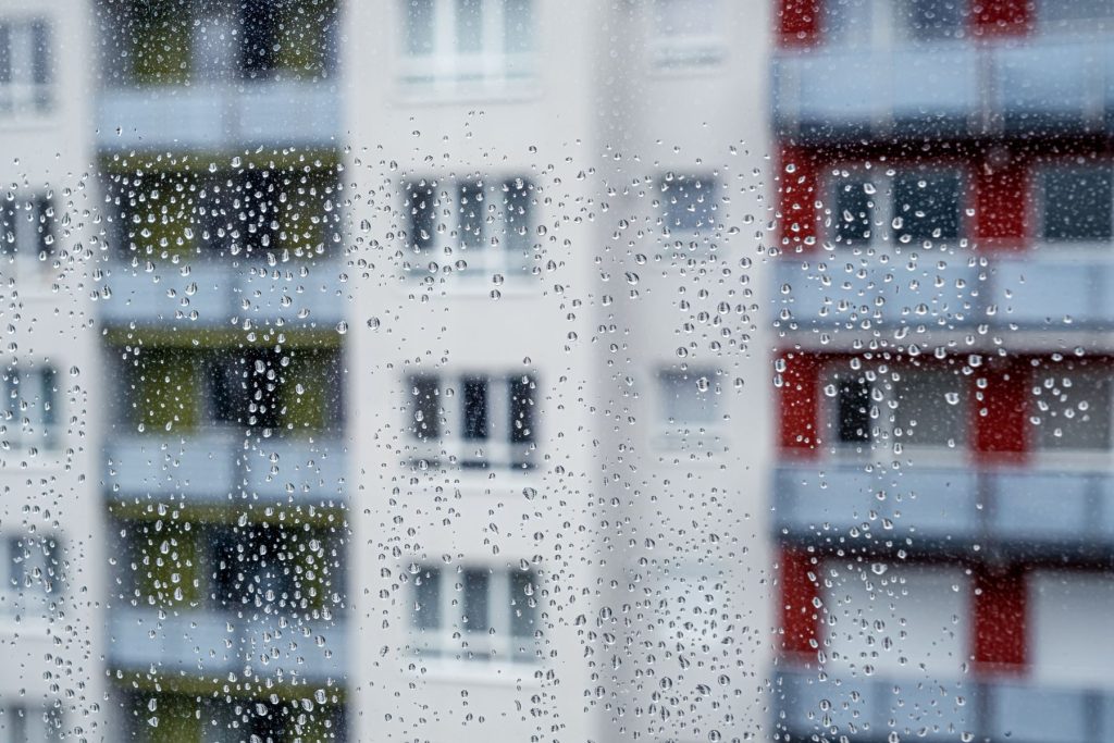 Learning from a Leaky Past