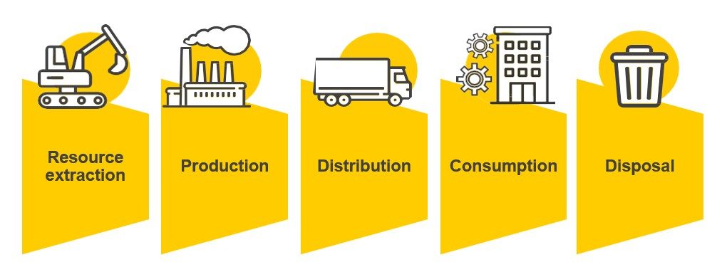 Linear process showing stages: resource extraction, production, distribution, consumption, and disposal
