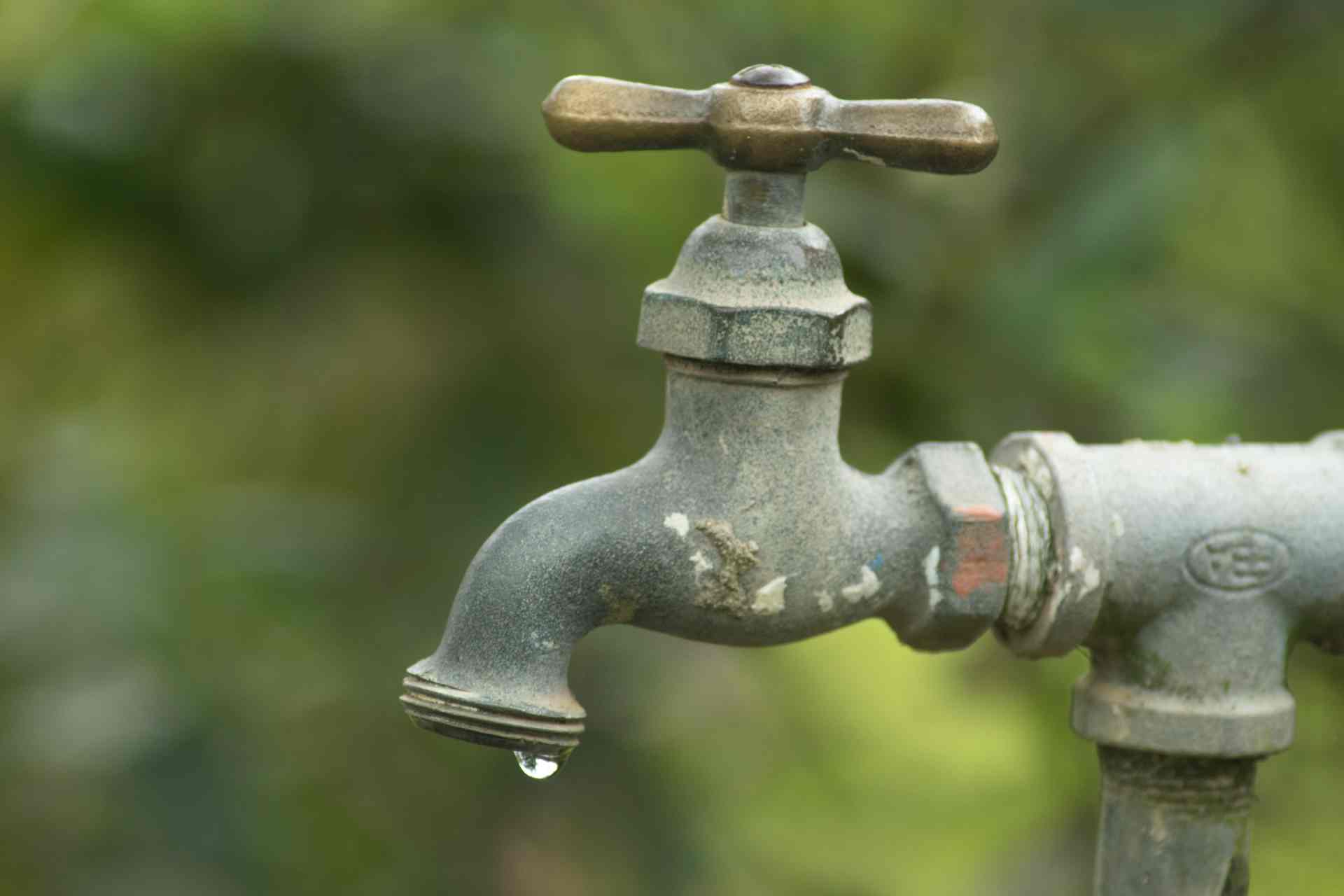 Master Plumbers celebrates 125 years