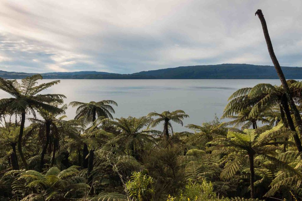 Should we see nature as infrastructure?