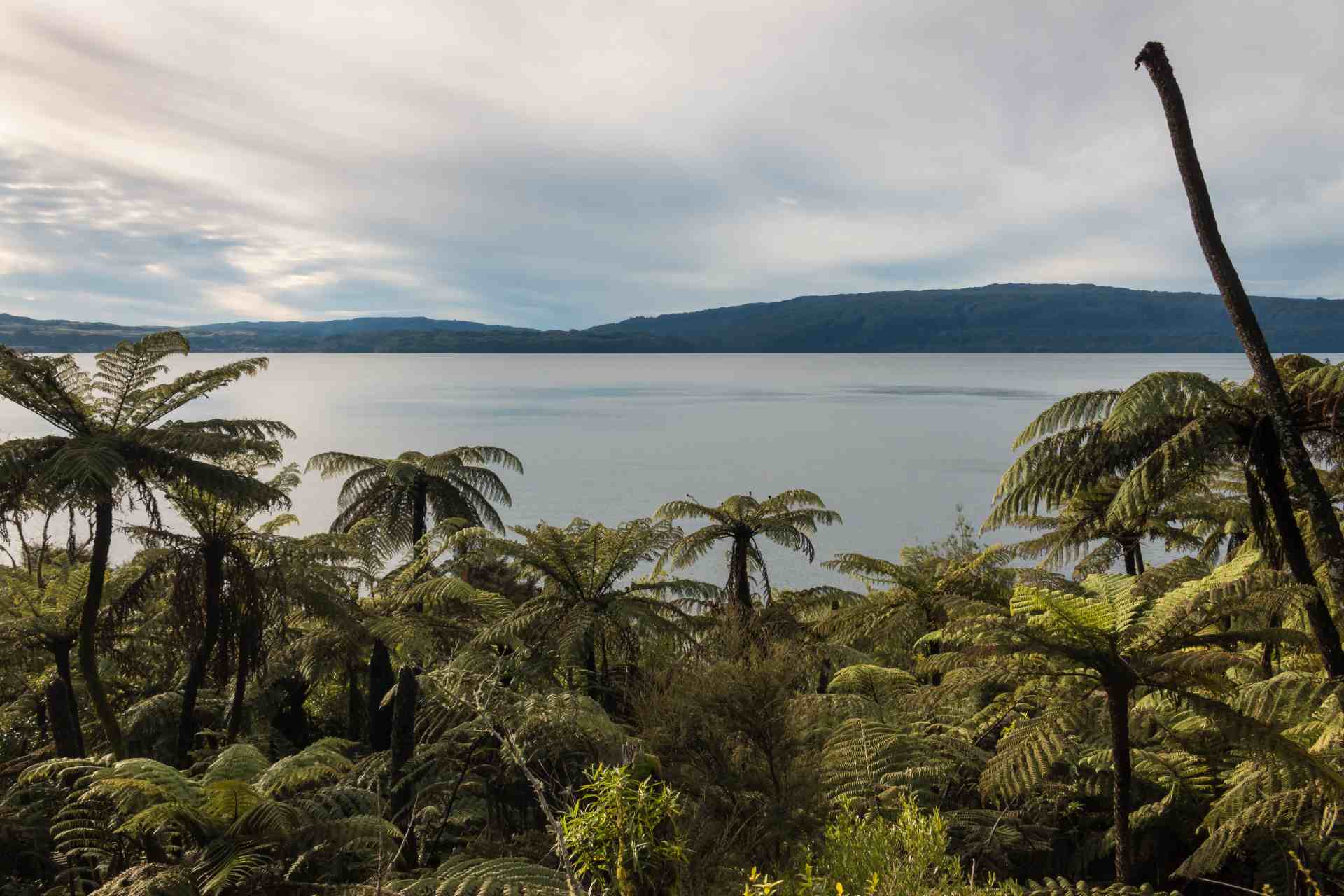 Should we see nature as infrastructure?