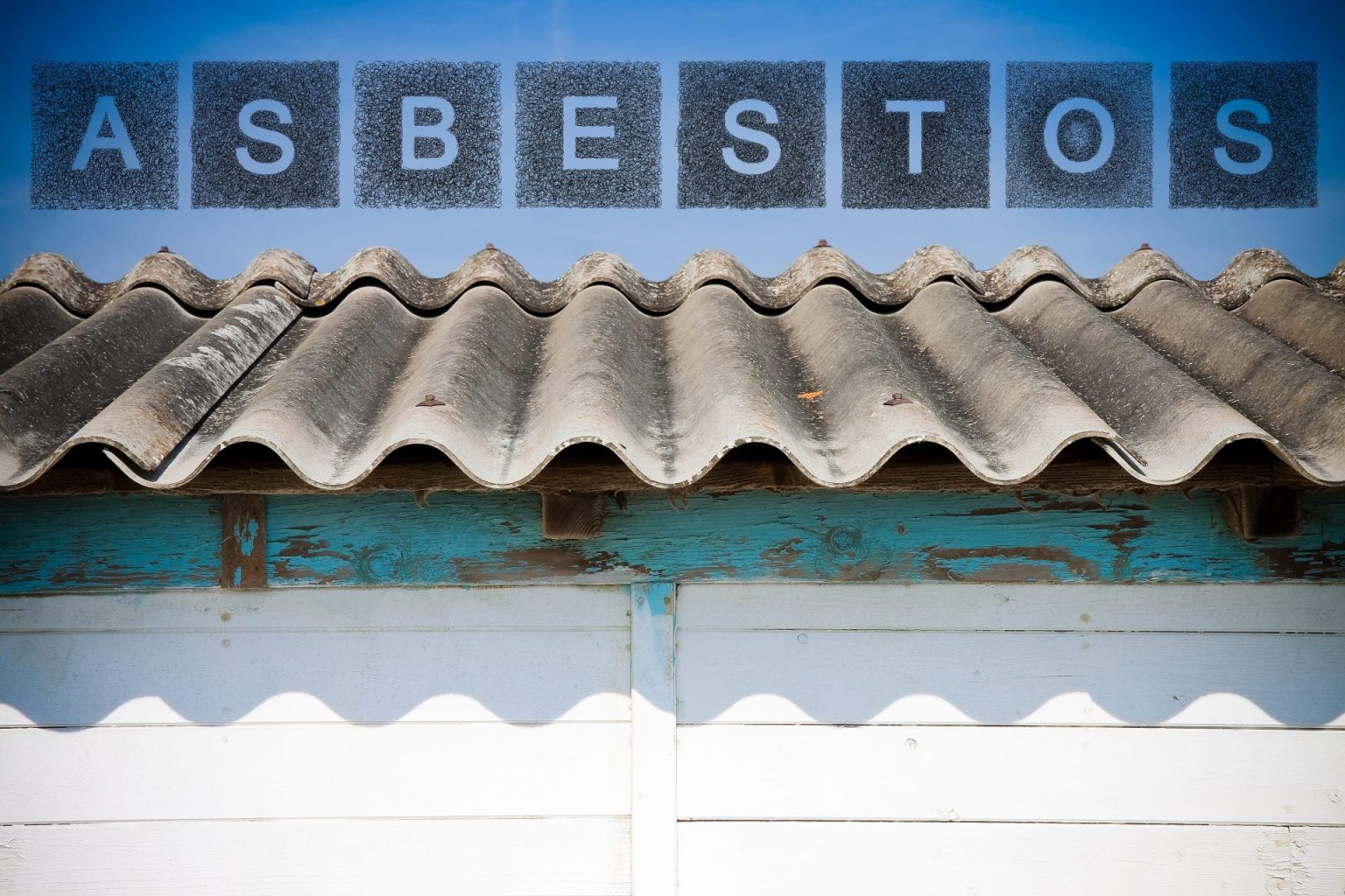 Asbestos Management