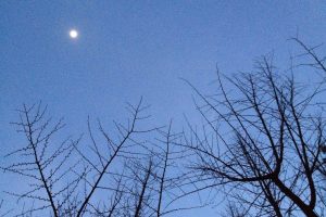 Concreting over winter