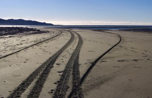 Industry feels impact of fuel uncertainty