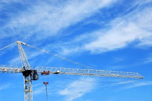 Crane statistics lowest since 2016