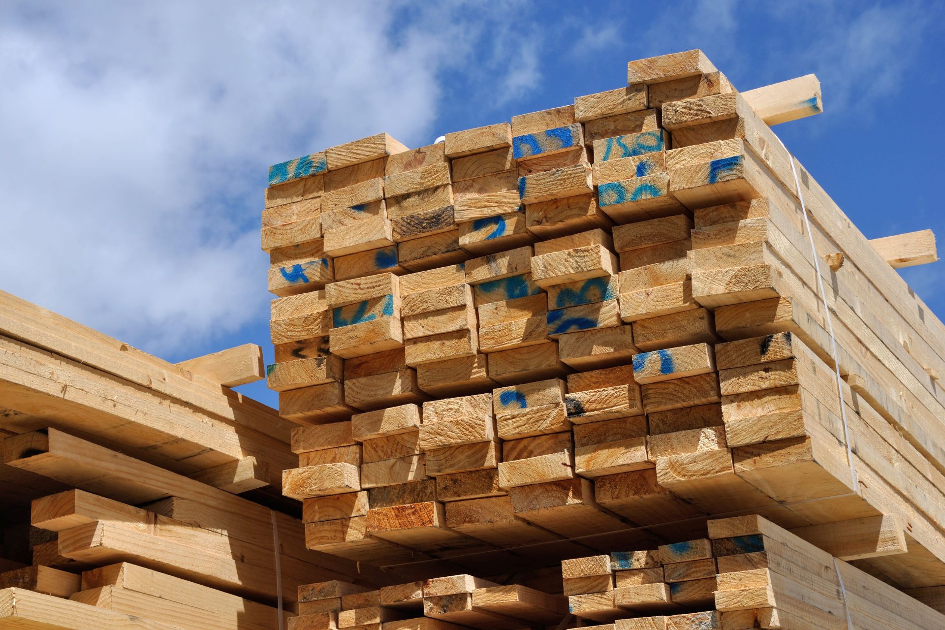 Fuel crisis hits timber supply
