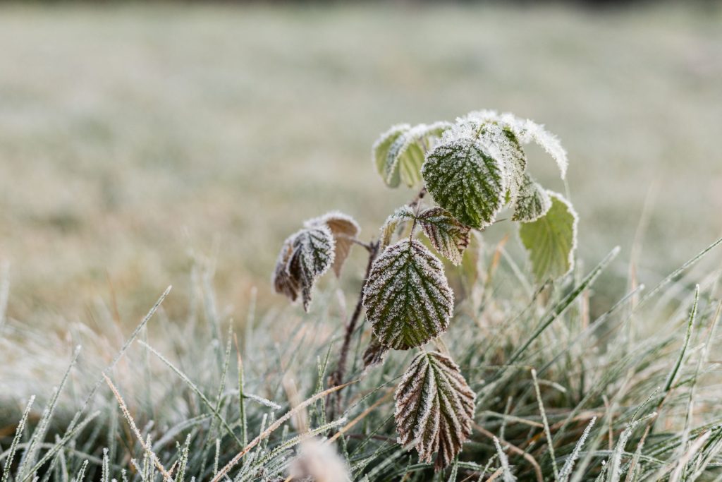 How building sites feel the deep freeze