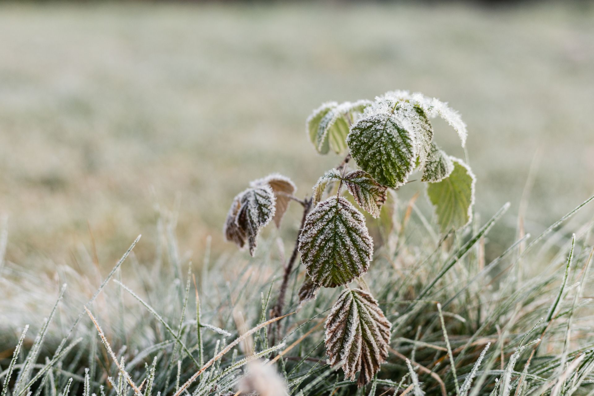 How building sites feel the deep freeze