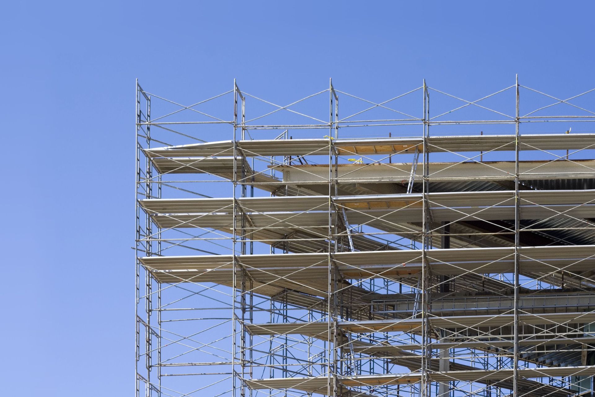Industry resilient despite headwinds